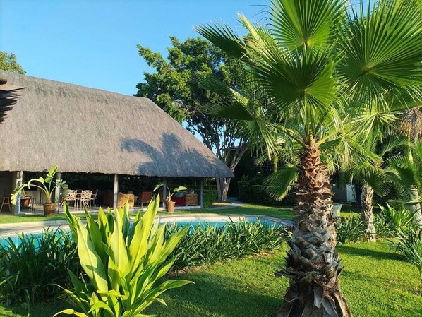 Outdoor pool - Sunbirds Chobe Villa - Chobe National Park (CHOBE, BOTSWANA)