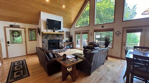 TV, fireplace, video games, DVD player