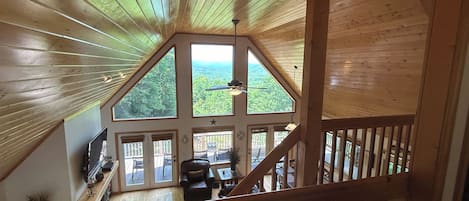 Televisión, chimenea, videojuegos y reproductor de DVD