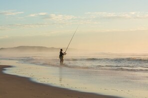 Playa en los alrededores 