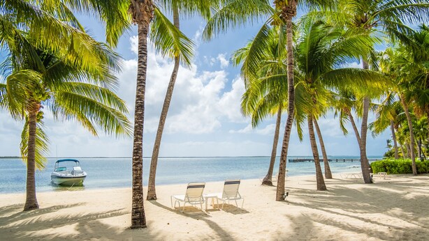 Une plage bordée de palmiers, un bateau et deux chaises longues.