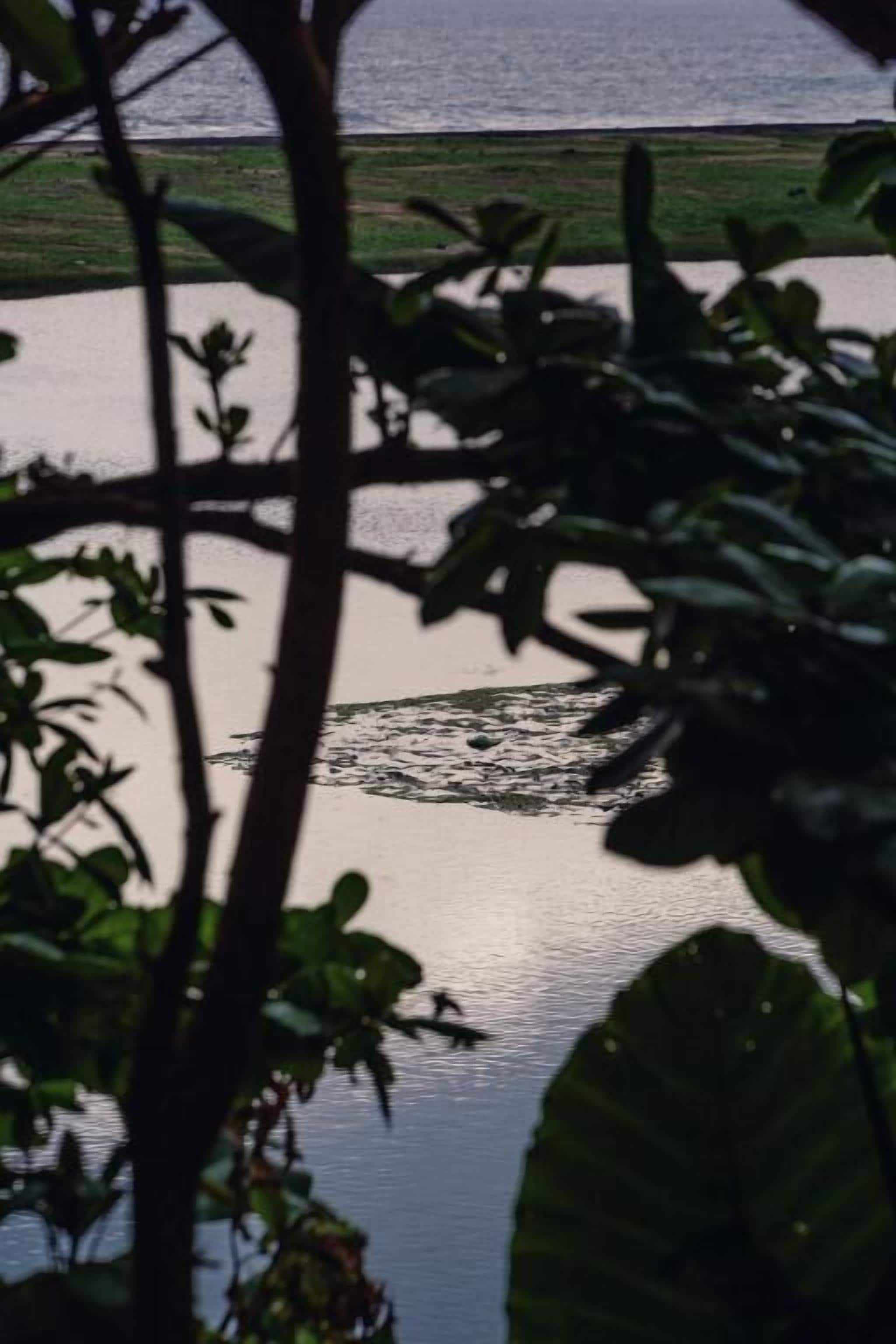 Attic Suite | View from room