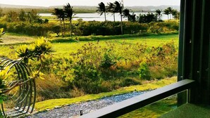 A view from a window overlooking a grassy landscape with palm trees and a body of water in the distance. - Gala Villa (Hengchun)