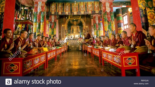 A group of monks seated in a long row inside a richly decorated hall with ornate pillars and a central altar. - Billing Vista Guest House (Jogindarnagar)