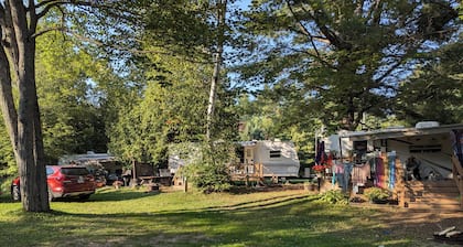 Springdale - Camper-remorque