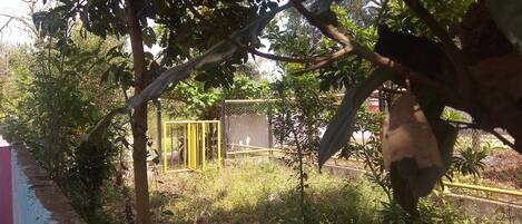 Enceinte de l’hébergement