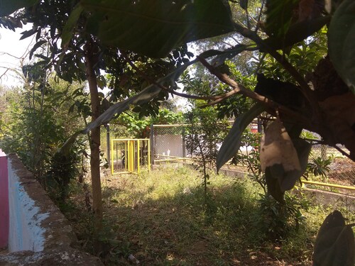 Dreams Rivar view home stay Coorg