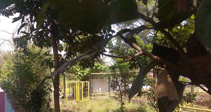 Dreams Rivar view home stay Coorg