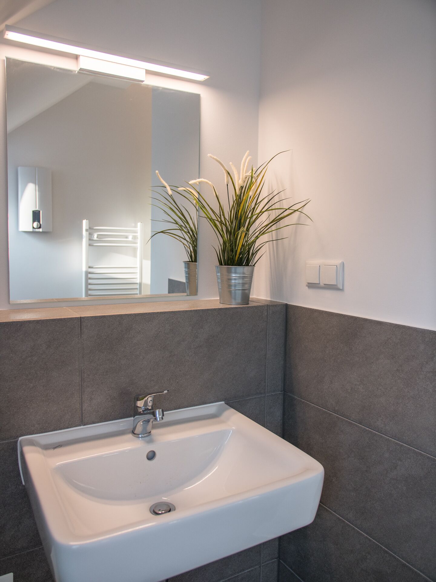 Un baño con un lavabo blanco, un espejo y una planta en maceta.