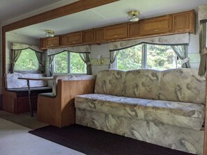 TV, DVD player, video library