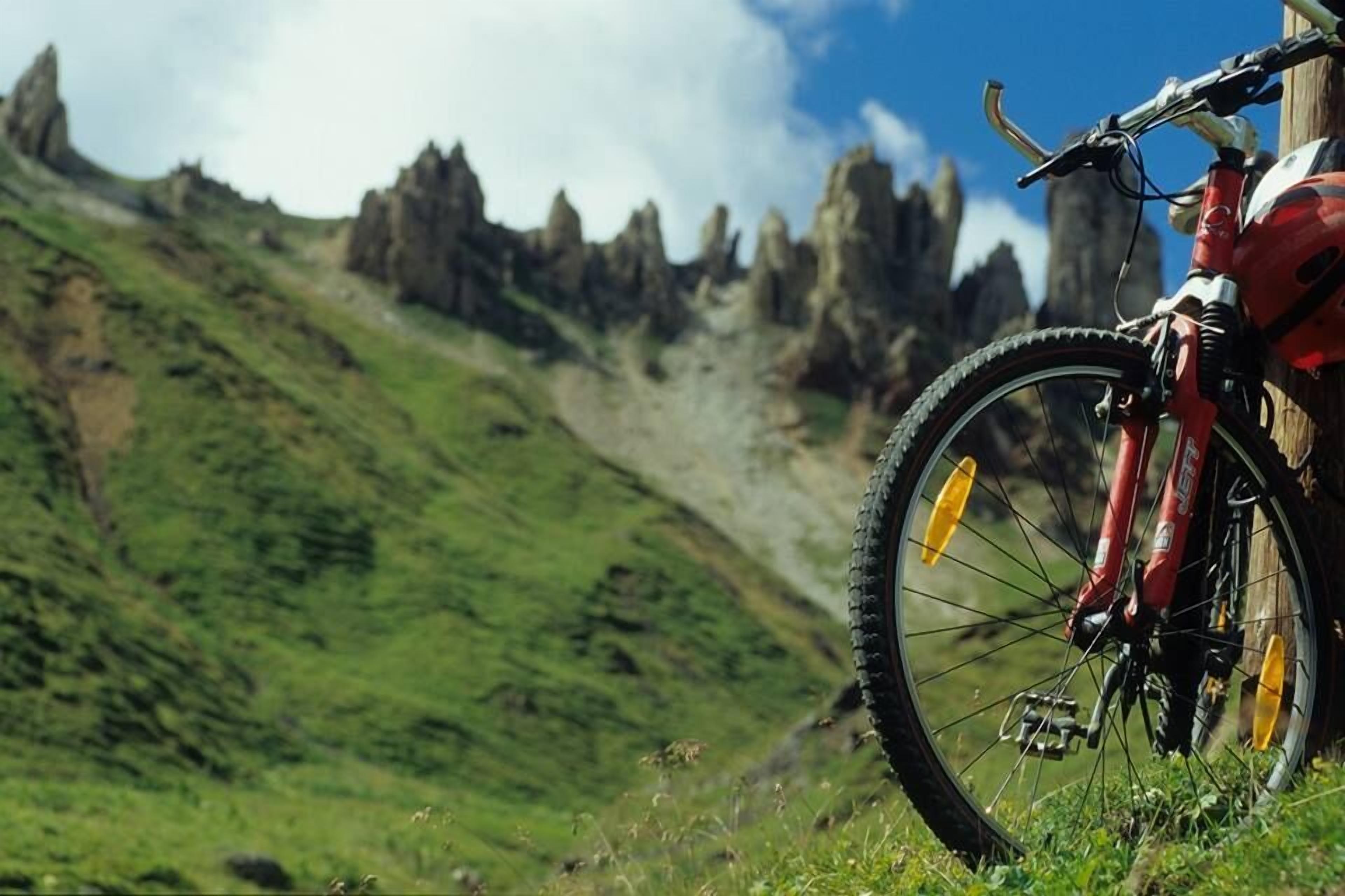 自転車