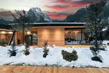 Sauna, hot tub, steam room