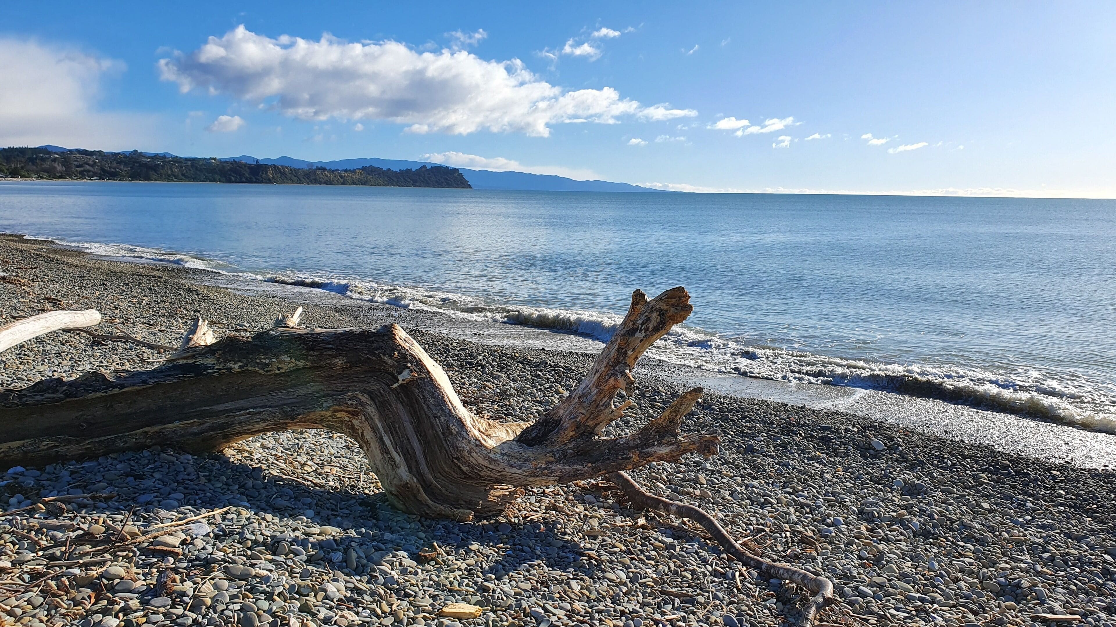 A pebbled beach with driftwood and a calm sea.