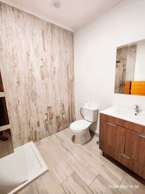 Douche, serviettes fournies, shampoing, papier toilette