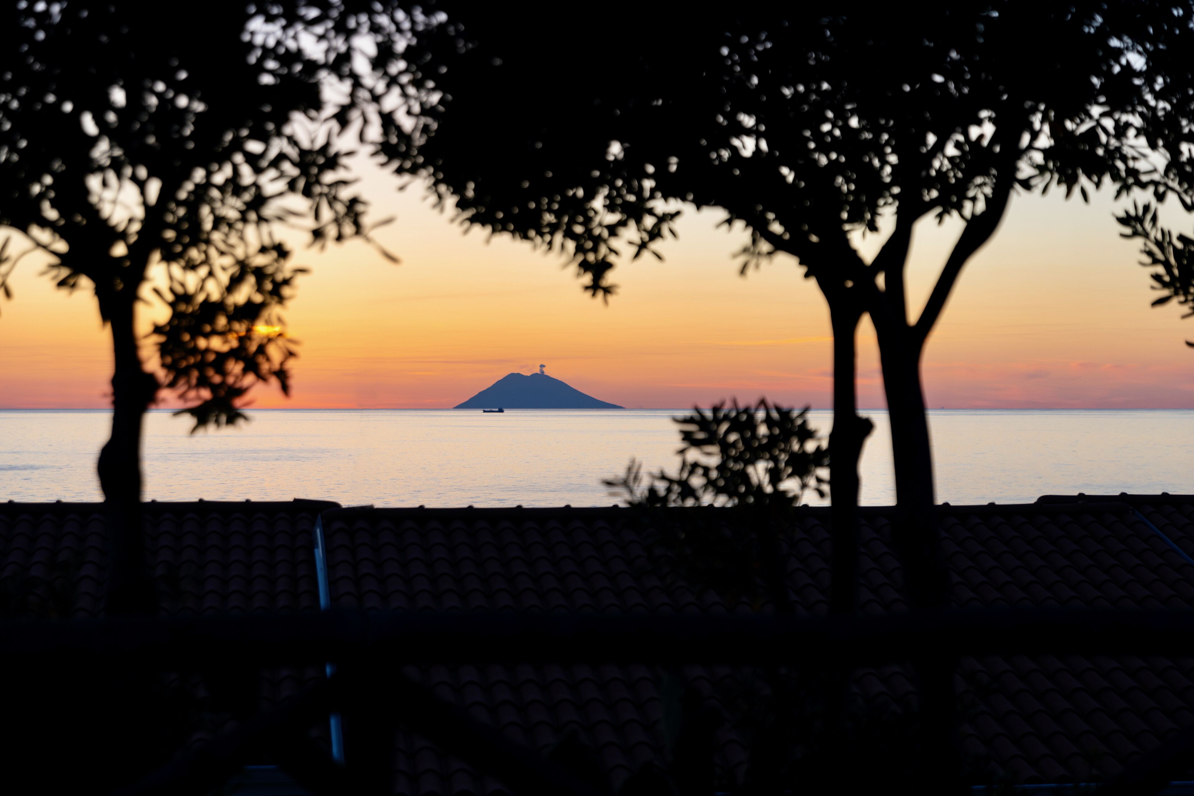 A silhouette of a tree-lined terrace overlooking a calm sea at sunset.