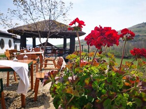 Outdoor dining - Ferma Dacilor (Gura Vadului)