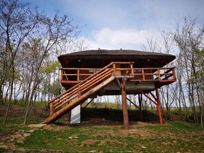 Exterior - Ferma Dacilor (Gura Vadului)