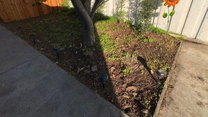 A garden with a tree, a wooden fence, and two flower decorations. - Elegant charming unit close to everything (San Mateo)