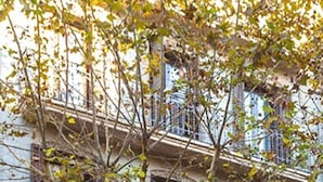 A multi-story building with balconies and a tree in front. - LUCASLAND (Barcelona)