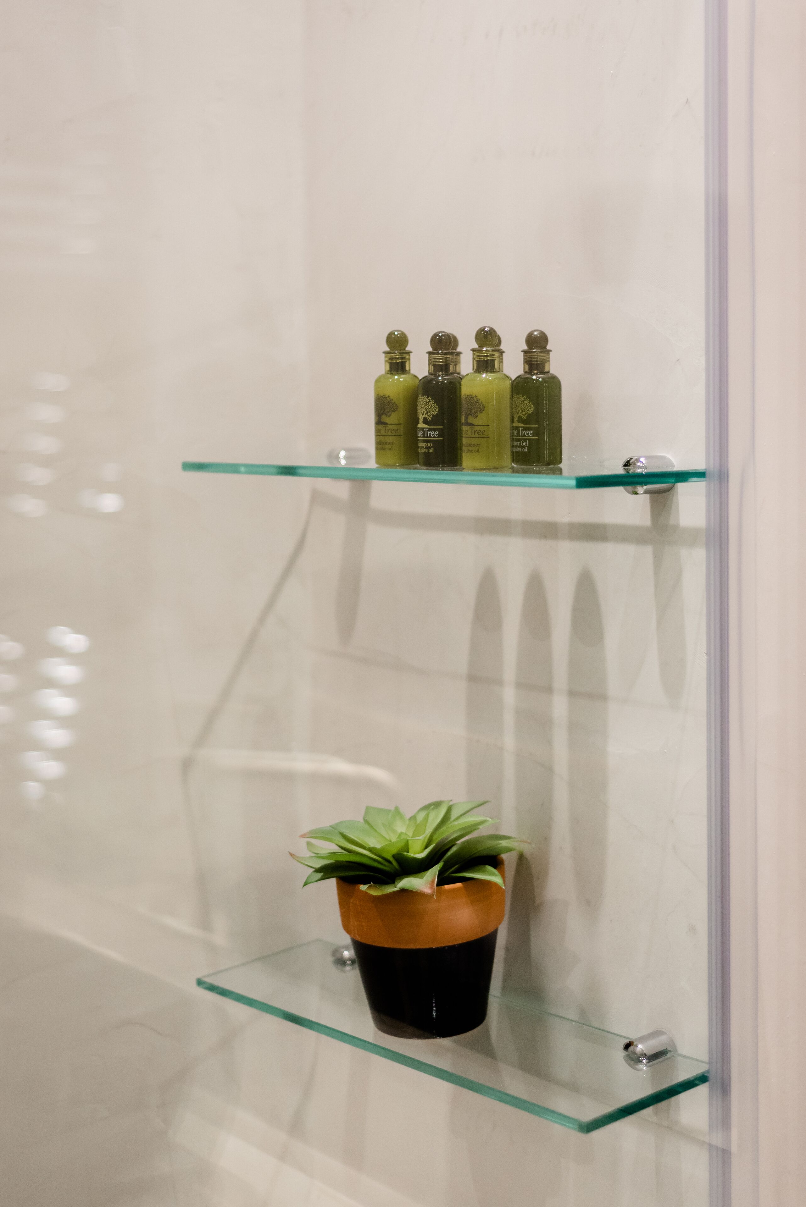 A bathroom with glass shelves holding toiletries and a potted plant.