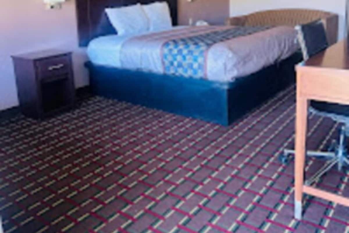 Una habitación de hotel con cama, mesita de noche, escritorio y alfombra estampada.