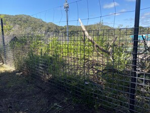 Terrain de l’hébergement 
