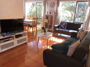 TV, video games, DVD player, books