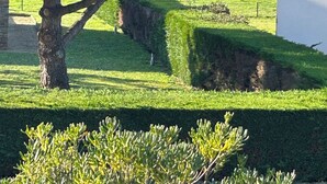Un camino bordeado de árboles con un edificio al fondo.