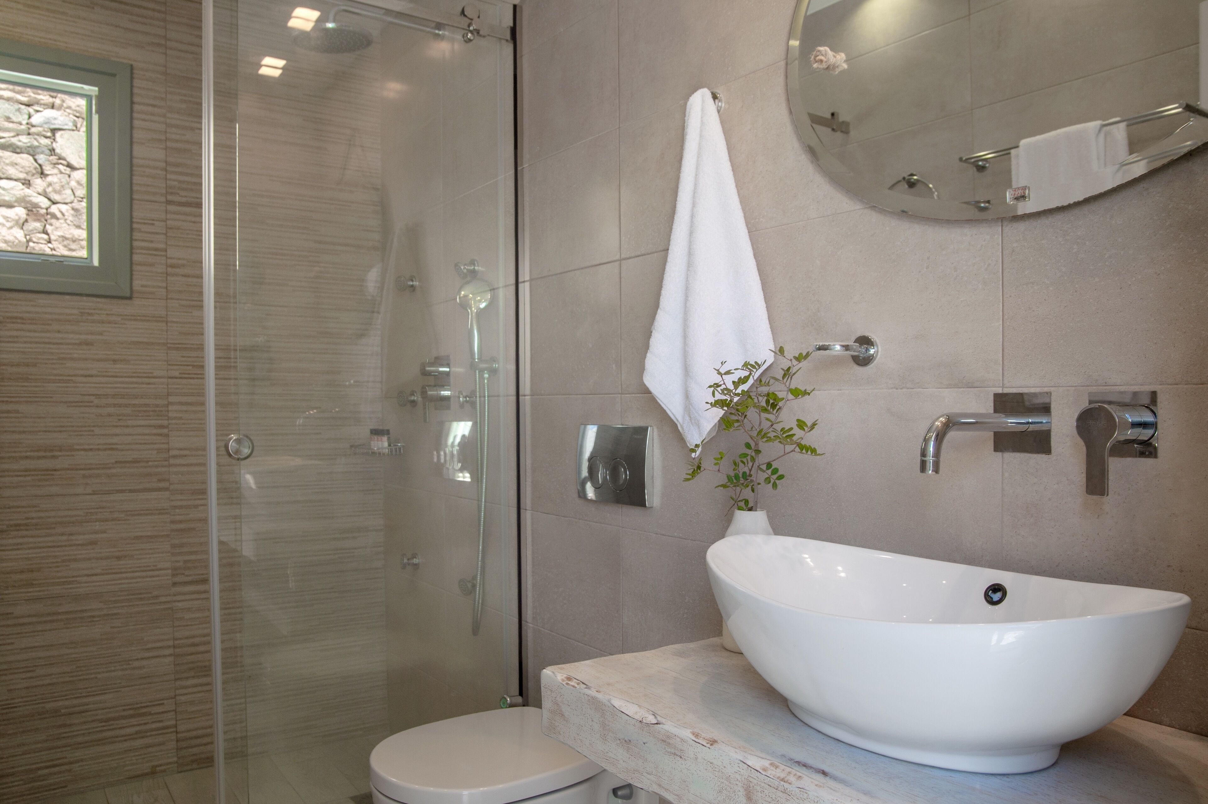 A modern bathroom with a glass-enclosed shower, a white sink with a large basin, and a small potted plant.