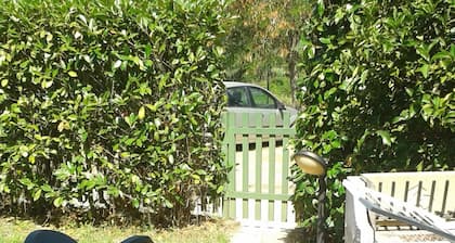 divertimento, yegua, relax, natura