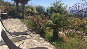 Une terrasse avec des meubles d’extérieur, un palmier et diverses plantes à fleurs.