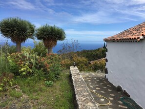 Botón de imagen sin clasificar, 5 de 24