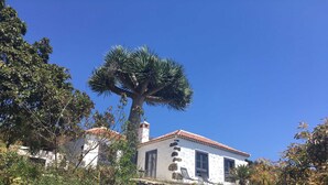 Un bâtiment blanc avec un toit recouvert de tuiles, un escalier en pierre menant à l’entrée et un grand arbre devant.
