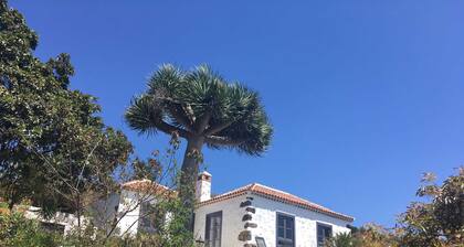 Finca Alegría, Spain