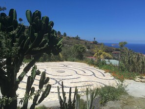 Botón de imagen sin clasificar, 3 de 24