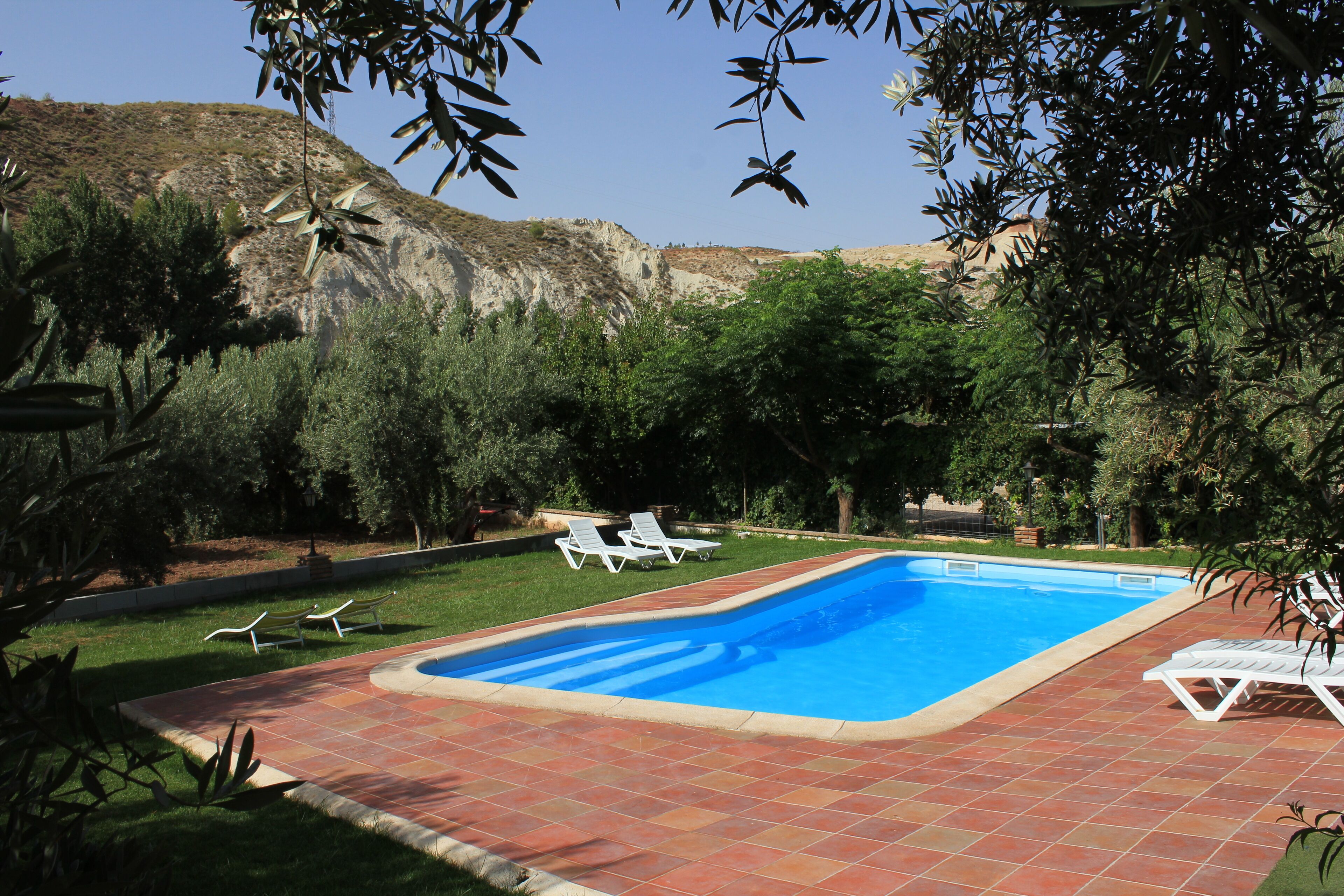 حمّام سباحة خارجي موسمي، مظلات على حمّام السباحة، مقاعد للتشمس