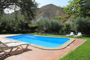 Ein rechteckiger Swimmingpool mit einer gefliesten Kante, umgeben von einer Rasenfläche und Bäumen.