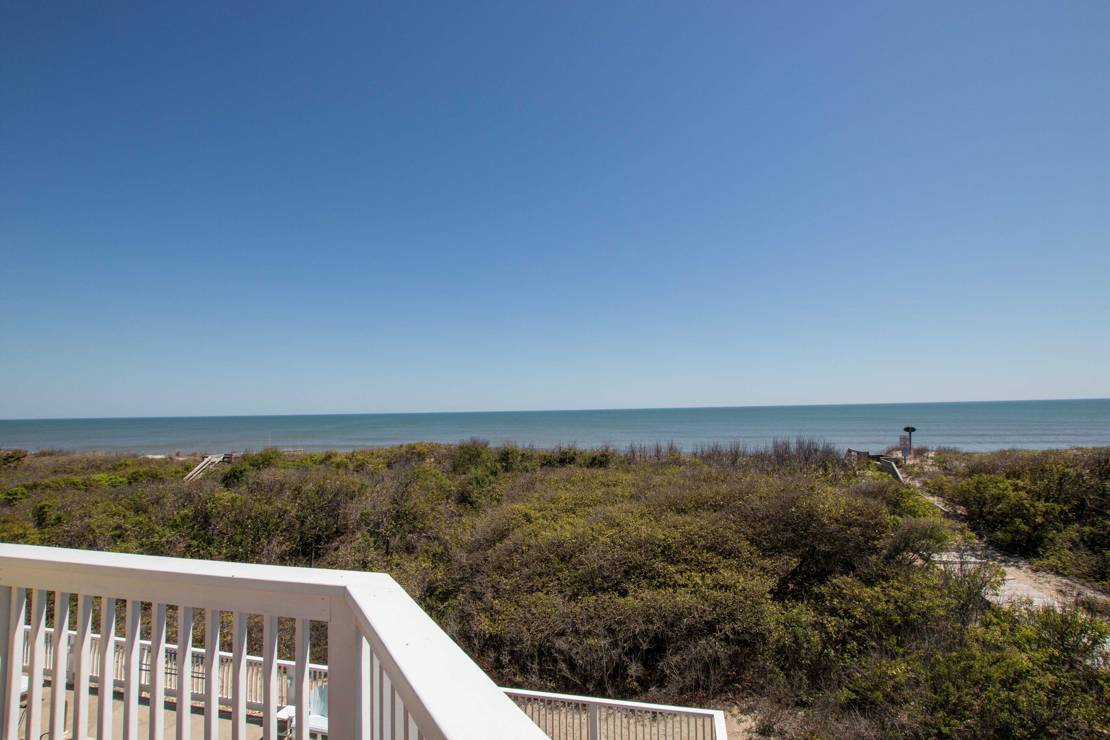 A view of a beach with dense vegetation and a clear sky.