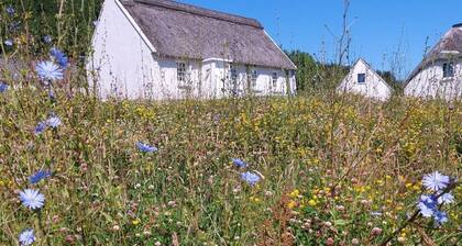 Corofin Lake Cottage No 2