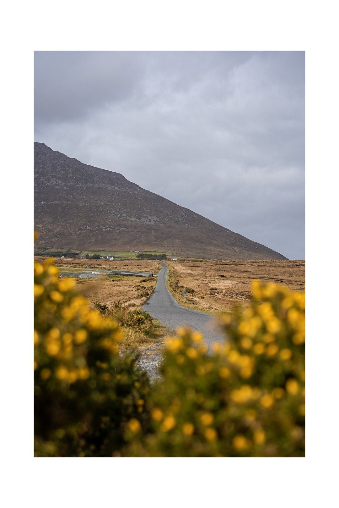 Paisaje rural con una carretera sinuosa que asciende hacia una montaña.