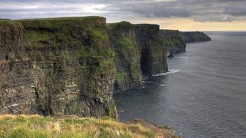 Cottage | Miscellaneous