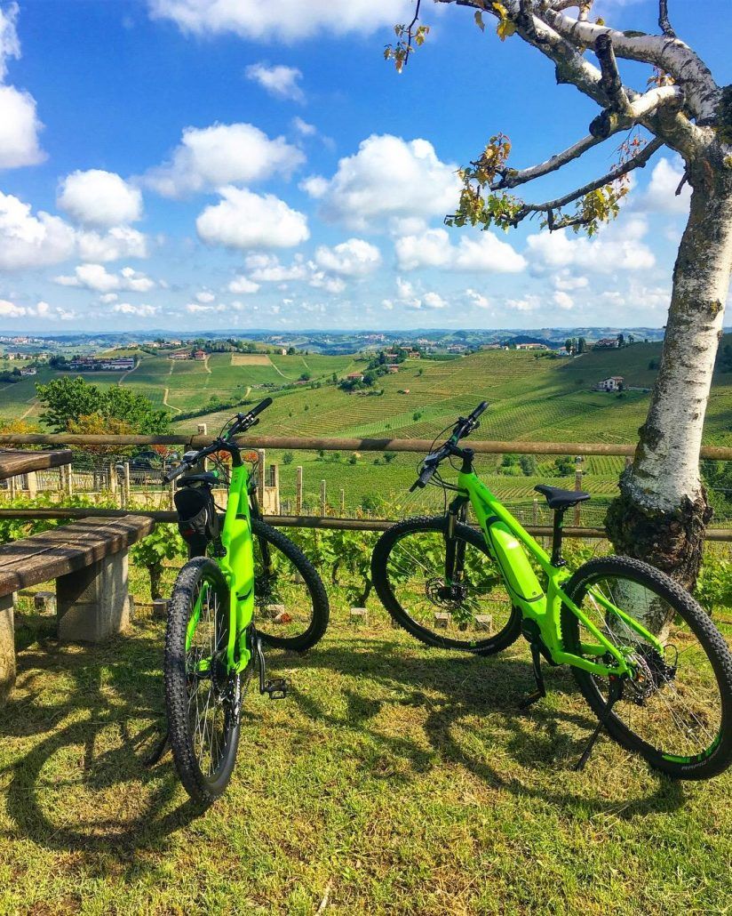 A mountain bike leaning against a tree in a grassy area with a view of rolling hills in the background.