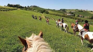 A group of people riding horses on a grassy field with houses in the background.