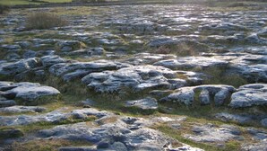 Un paysage composé de gros rochers et d’une végétation herbeuse.