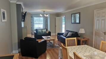 LCD TV, fireplace