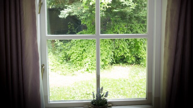 Janela com vista para um jardim exuberante.