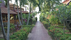A paved pathway flanked by lush greenery and tropical plants, leading towards a building with a tiled roof. - 4 bedroom beachfront Villa 3 SDV024-By Samui Dream Villas (Koh Samui)