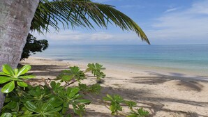 Una playa con agua turquesa cristalina, una orilla de arena y abundante vegetación verde.