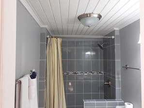Shower, rainfall showerhead, hair dryer, towels - Sealofts On The Beach (Basseterre)