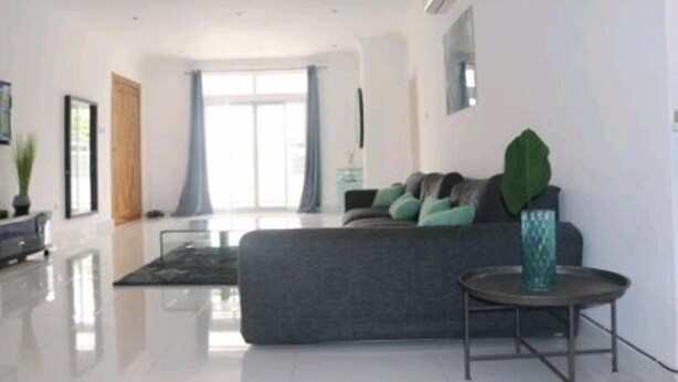 Ein modernes Wohnzimmer mit einem grauen Sofa, einem kleinen runden Tisch und einer großen Zimmerpflanze.
